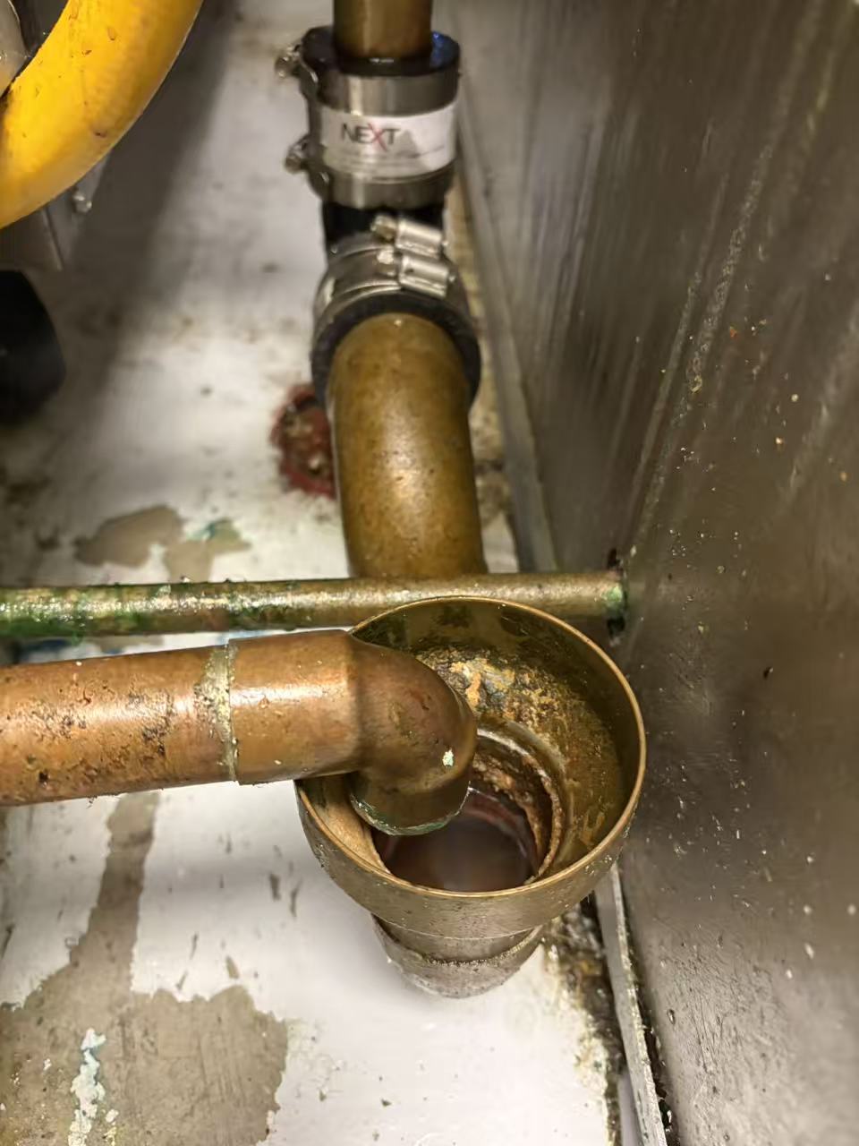 Protecting Your Home from the Ground Up